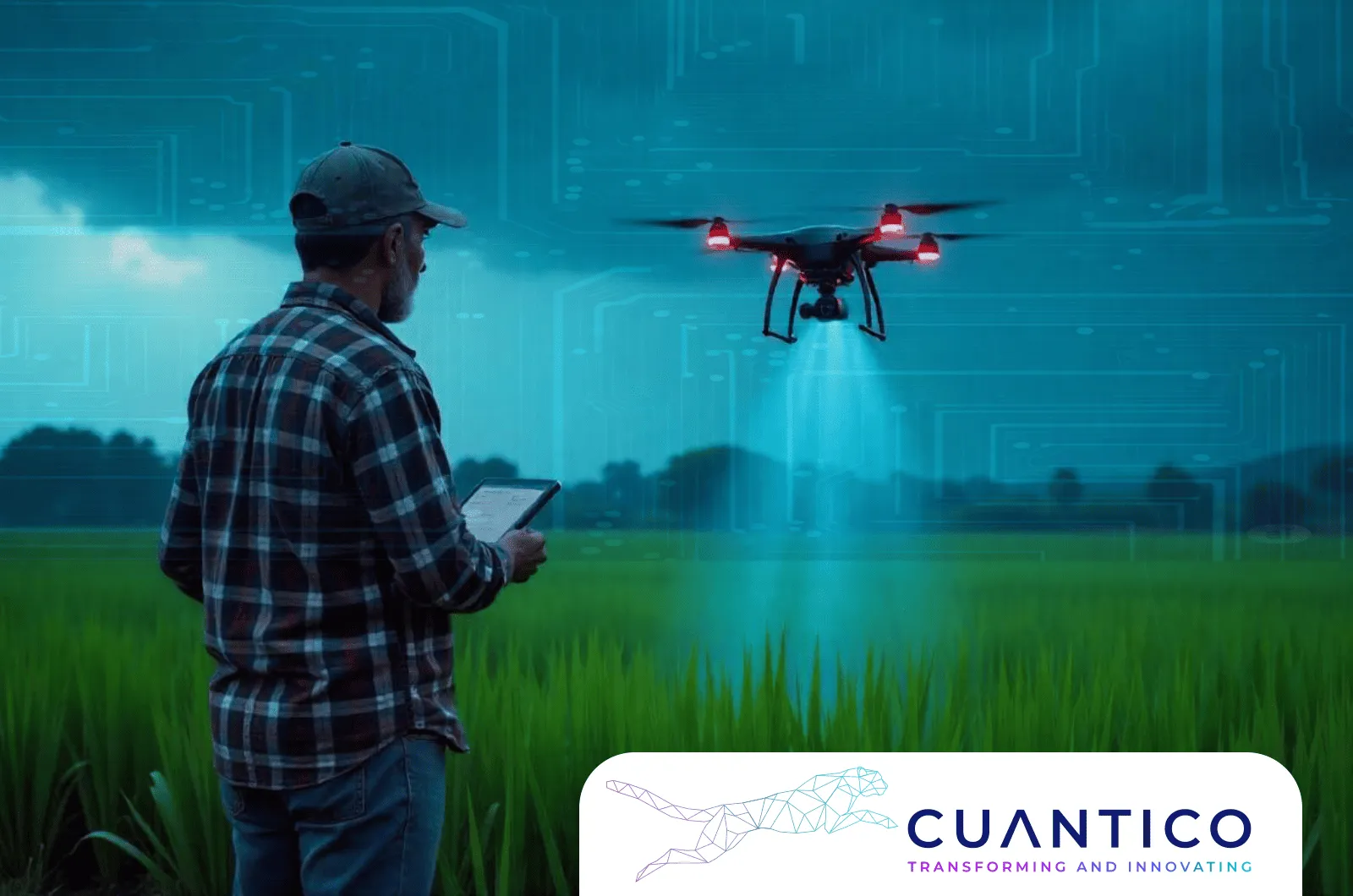 Hombre operando un dron sobre cultivo con tablet en mano, representando agricultura de precisión impulsada por CUANTICO con Inteligencia Artificial